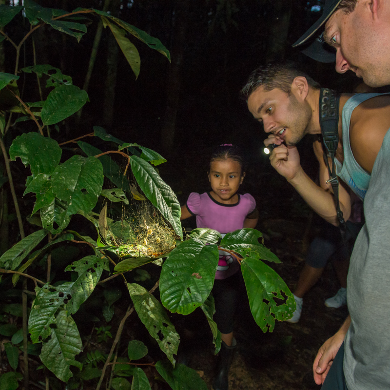 Exploring the Forest at Night girl, entomologist, rainforest, night