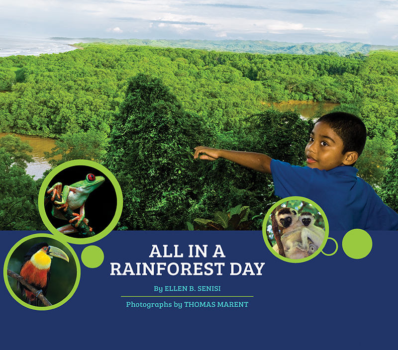 Book cover shows young child pointing out to a view of the rainforest.