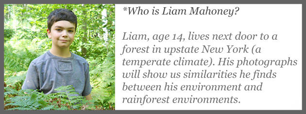 Liam Mahoney Nature Photographer