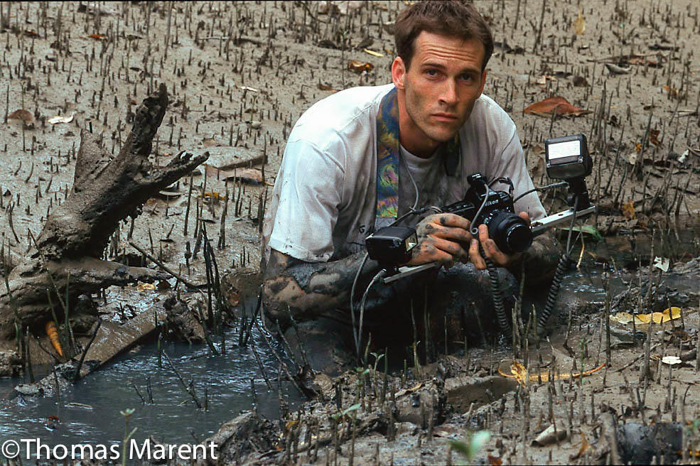 Rainforest photographer Thomas Marent mangrove swamp