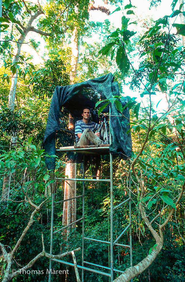 The platform shown here helps Thomas to get shots higher up, as well as offering him protection. What else do you see that helps Thomas to take pictures in the rainforest? (Image: Thomas Marent) Rainforest Photographer Thomas Marent - EdTechLens