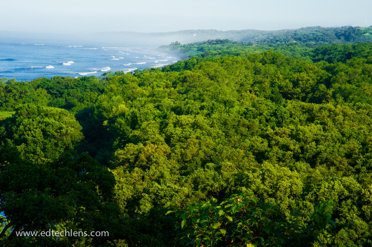 tropical rainforest Costa Rica's Rainforest - EdTechLens Science Blog Image Ellen Senisi