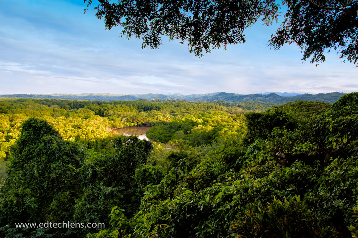 Costa Rica Rainforest Weather Water Cycle Image Ellen Senisi