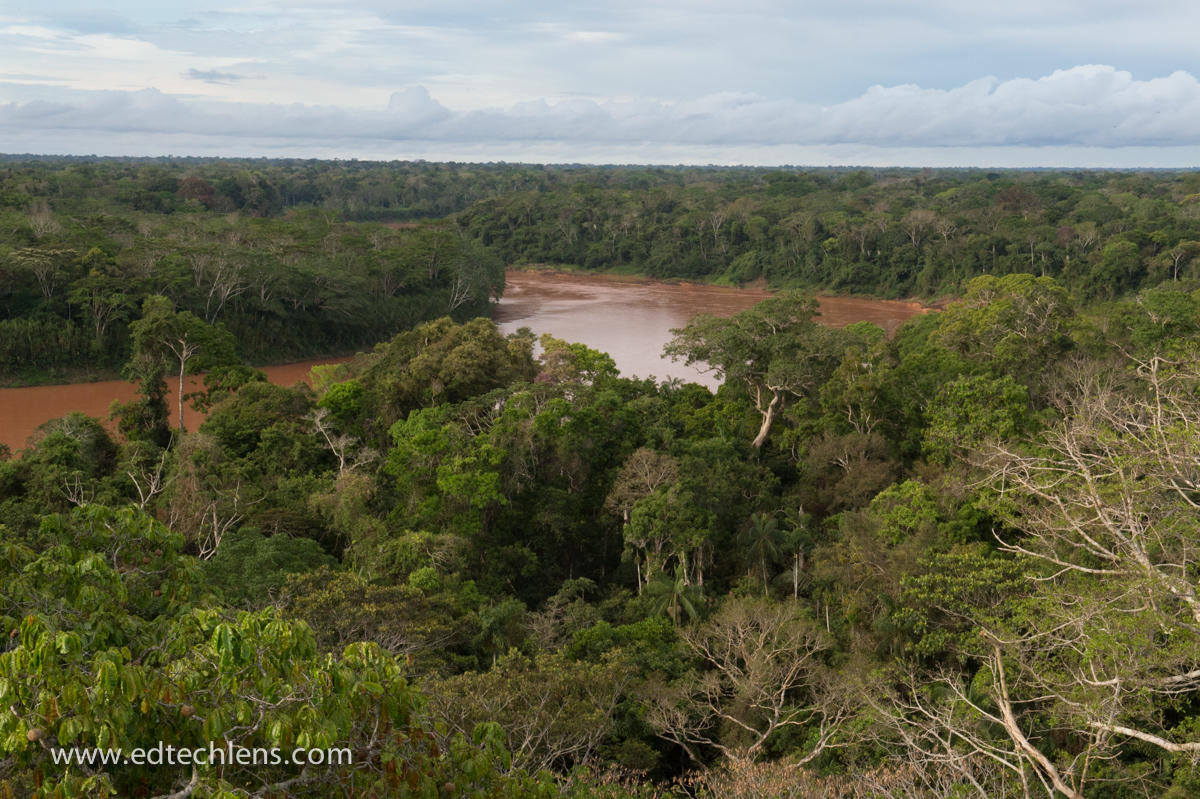 Peru Rainforests Amazonian Jungle EdTechLens Science Blog