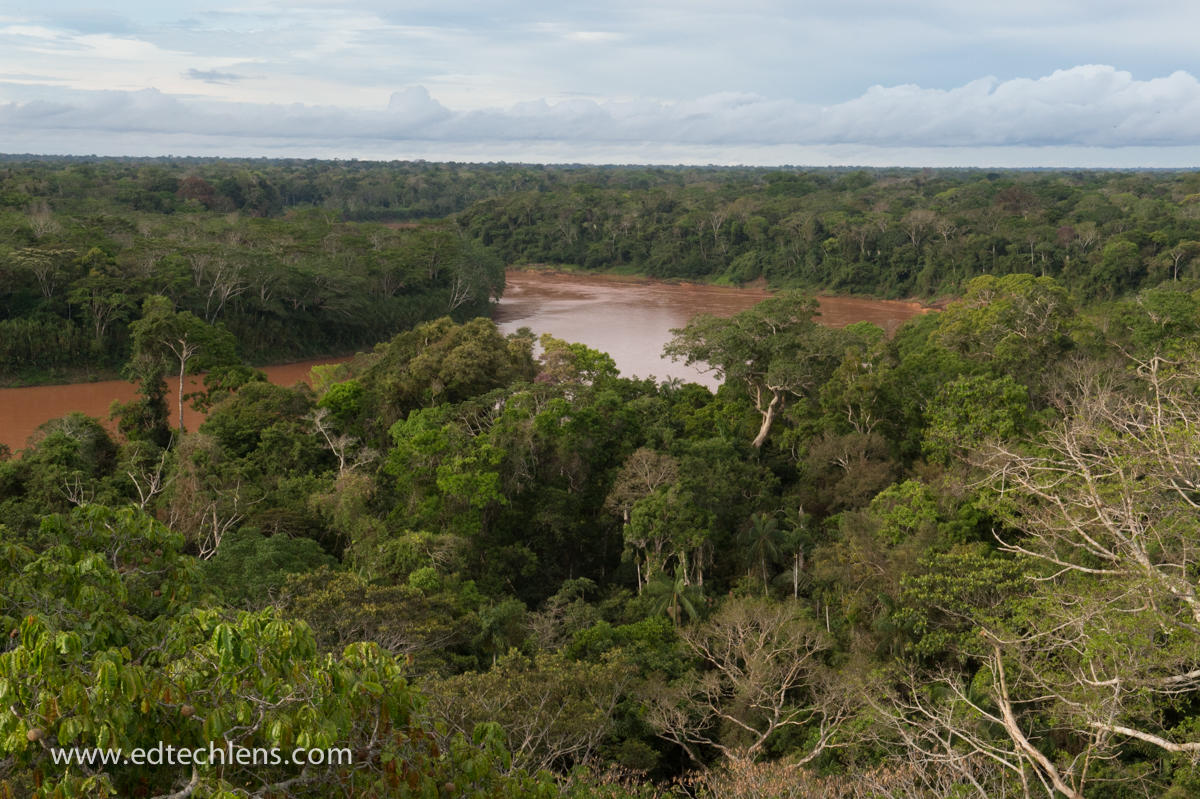 Rainforest River in Peru (Image: Ellen Senisi) Peru Rainforests Amazonian Jungle EdTechLens Science Blog