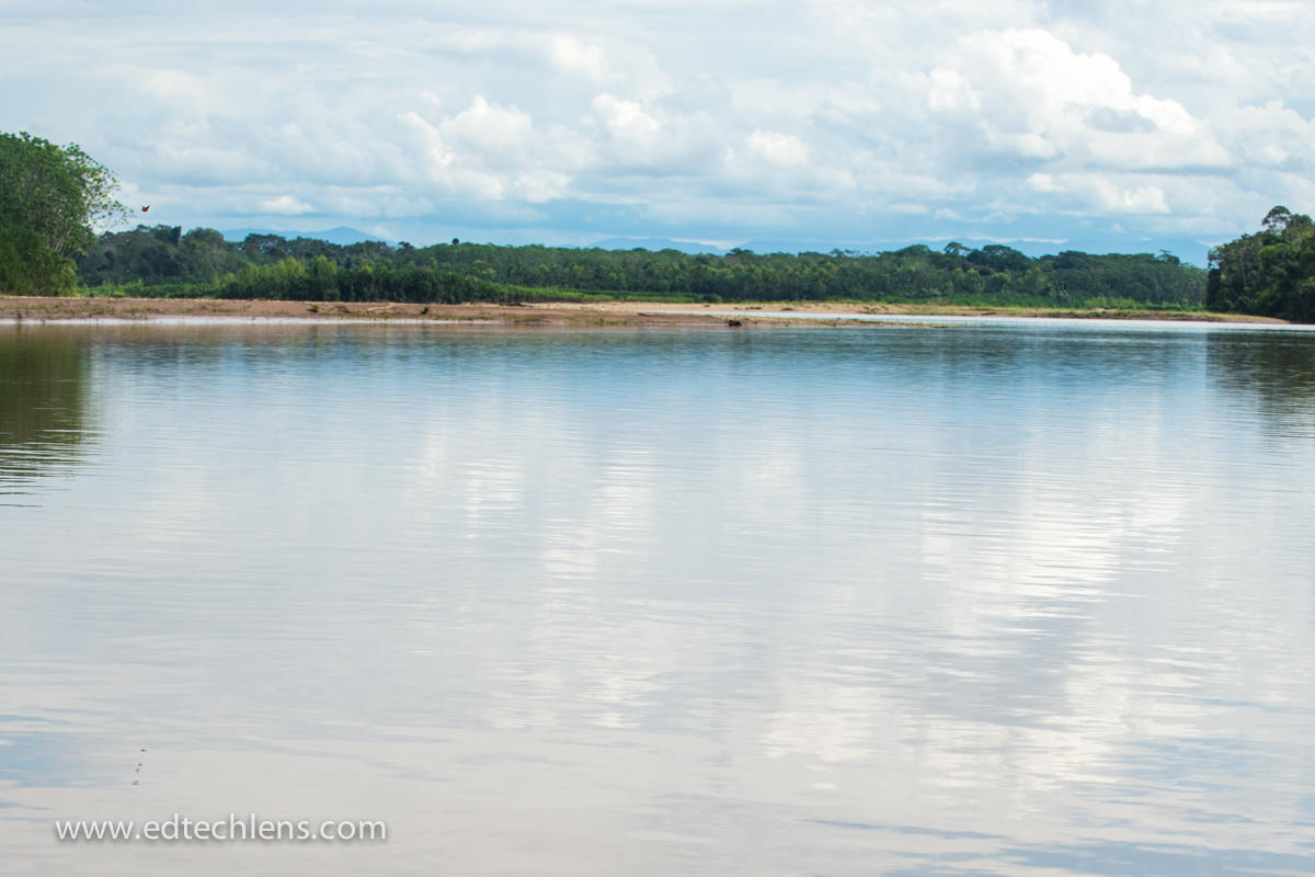 Rainforest river and skyline