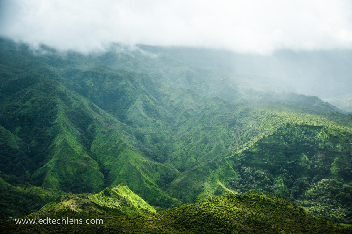 Hawaiian Rainforest island of Kauai Image Ellen Senisi