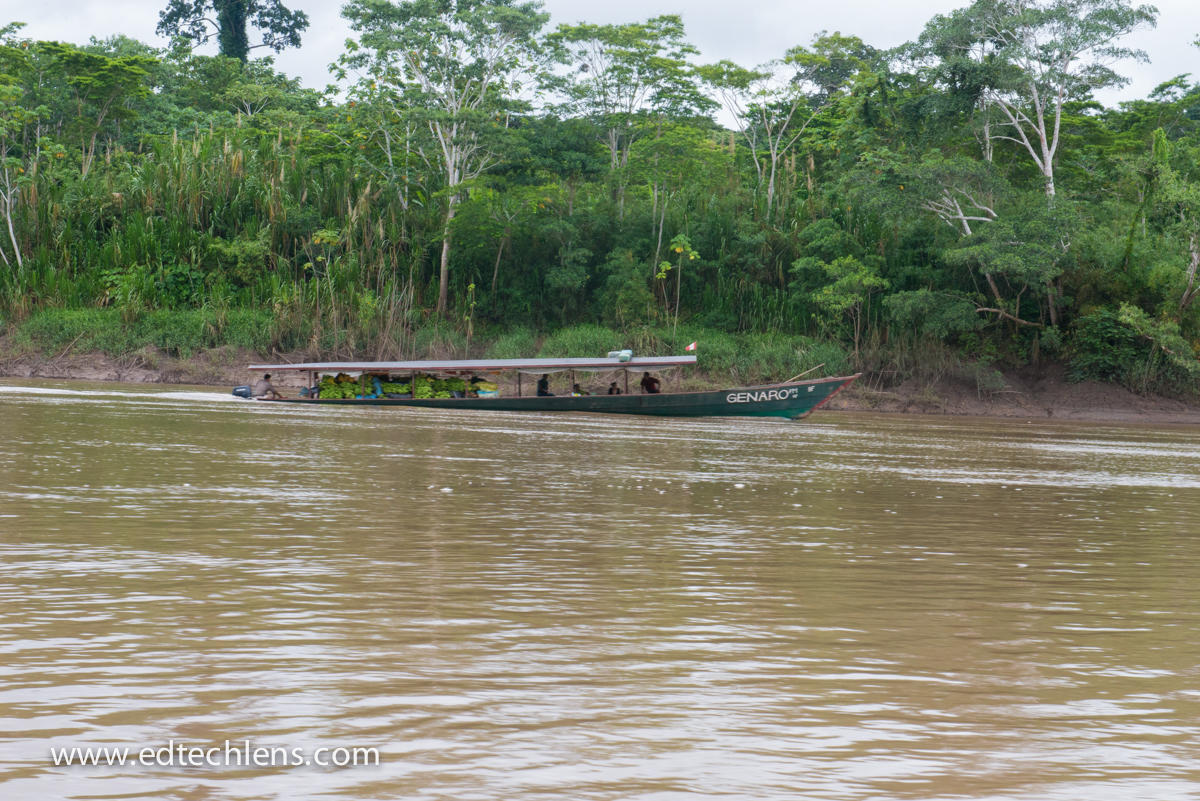 Native People Going to Market with a Load of Bananas to Sell