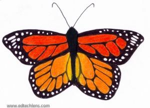 Illustration of Monarch Butterfly from Rainforest Journey's hands-on activities Monarch Butterfly illustration Rainforest
