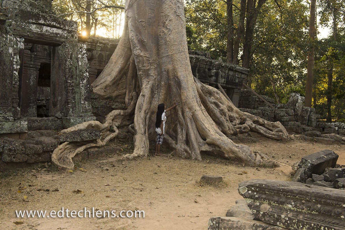The Angkor Wat Temple Complex in Siem Reap, Cambodia. Notice how the forest has overtaken the temple building. And check out the size of the buttress roots! (Image: Ellen Senisi) Secondary Rainforest Taking Back Land EdTechLens Cambodia, Siem Reap, Angkor Archeological Park, Banteay Kdei Temple