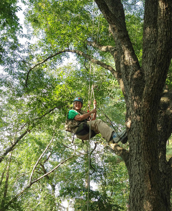 Dr. Margaret Lowman Dr. Margaret Lowman, Canopy Meg