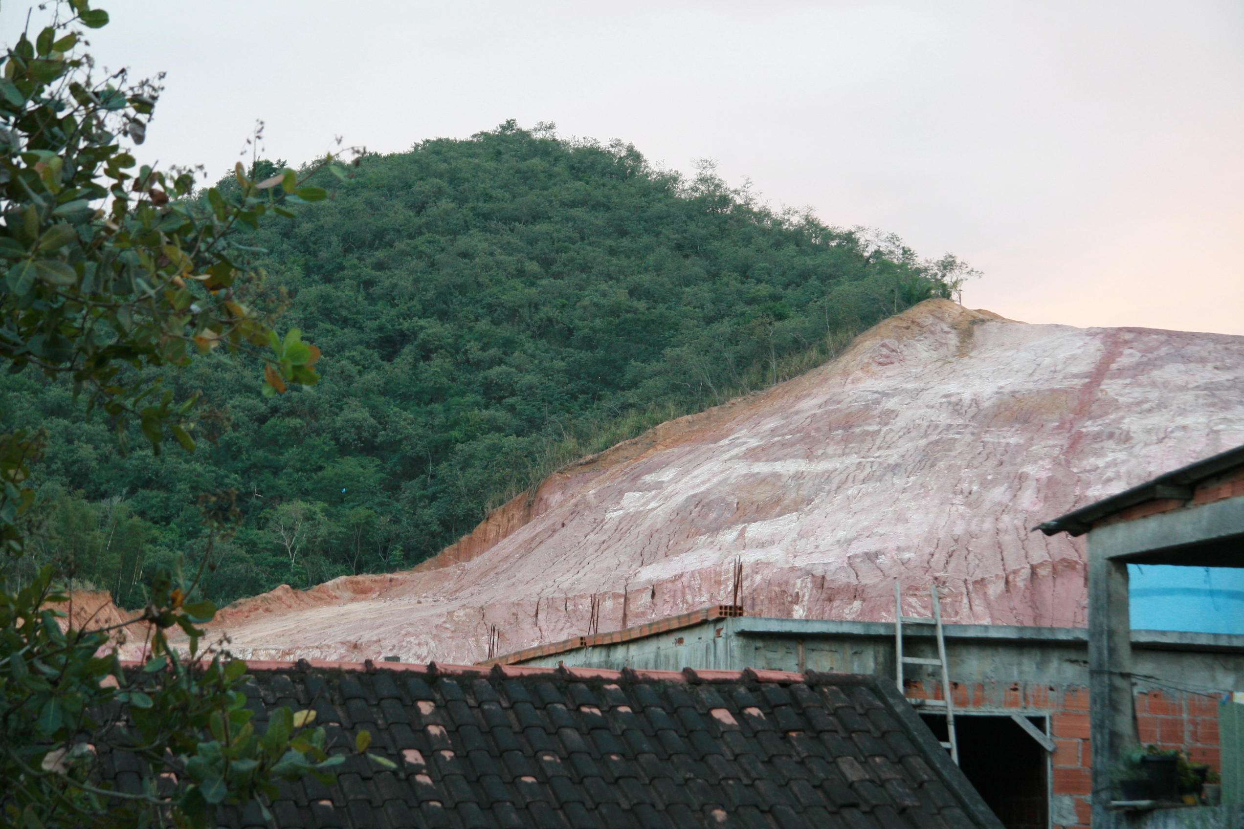 Deforestation in Brazilian Jungle (Image: Wikipedia) Deforestation - Rainforest Tree Loss Brazil rainforest jungle