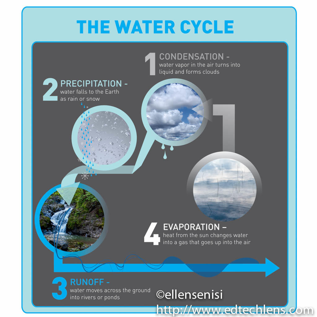 Rainforest Water Cycle Condensation, precipitation, runoff and evaporation EdTechLens