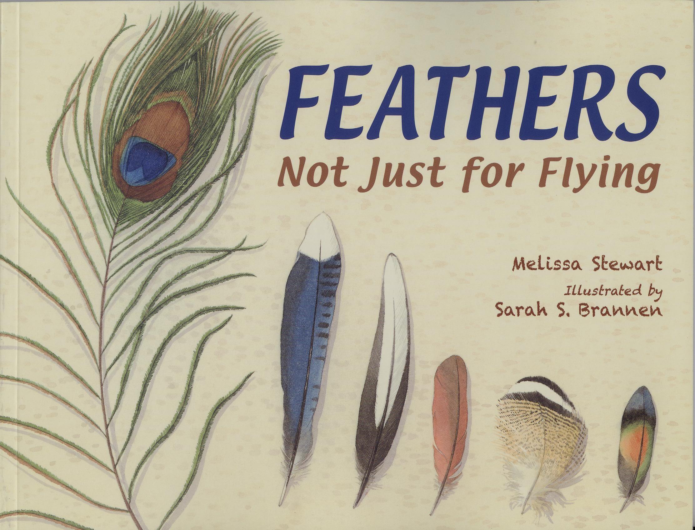 Feathers Not Just for Flying by Melissa Stewart Feathers Not Just for Flying
