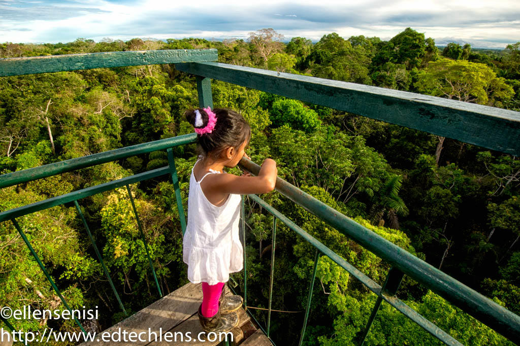 Mariana looks out over the rainforest where she lives in Peru. She is at the top of a lookout tower. Photographs of Mariana in the rainforest are used in some of the lessons in the Rainforest Journey website.