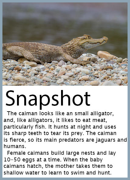 Snapshot Caiman with Information