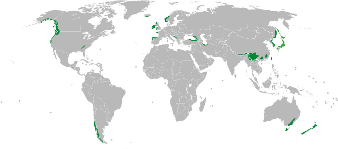 Temperate Rainforest Map Temperate Rainforest Map